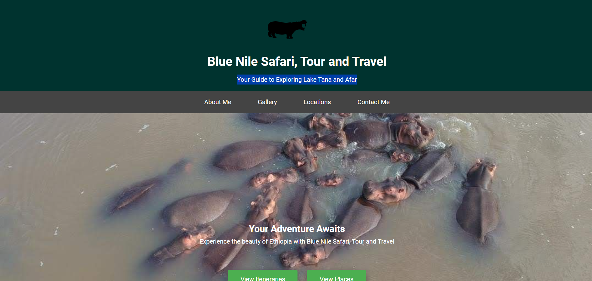 Blue Nile Safari, Tour and Travel